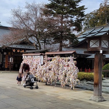 櫻木神社4.jpg